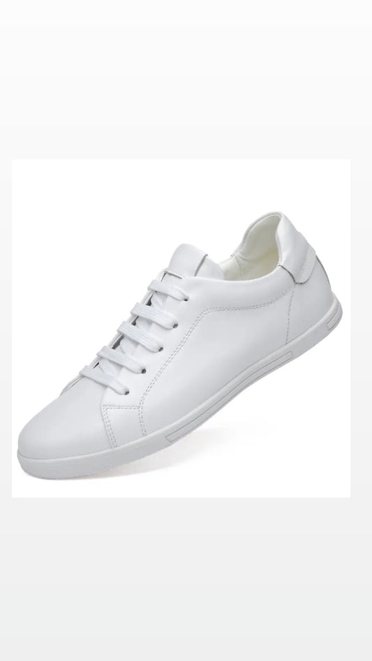 Light Leather Sneaker- White