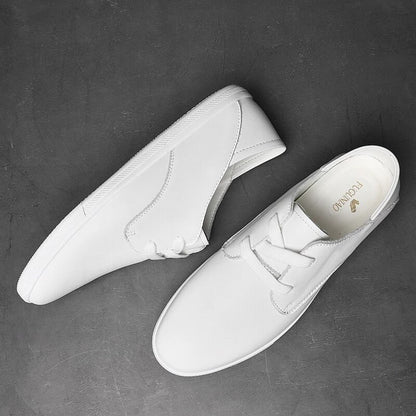 Light Leather Sneaker- White